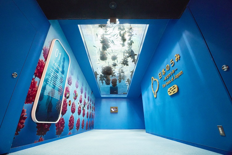 【いこーよ限定】大人1名・小学生1名：オリジナルメモ帳付き親子ペア入館券プラン♪の写真