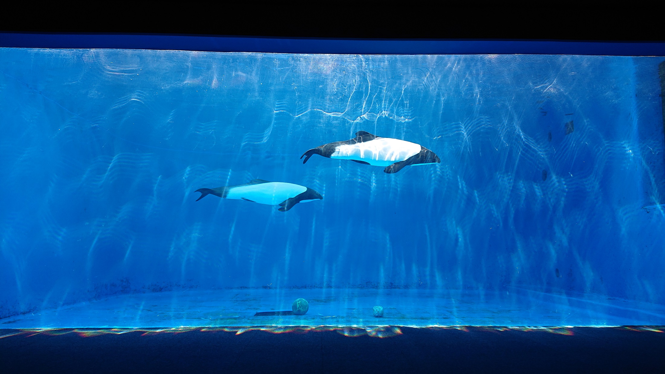 【いこーよ限定】大人2名・小学生1名：オリジナルメモ帳付き親子ペア入館券プラン♪の写真