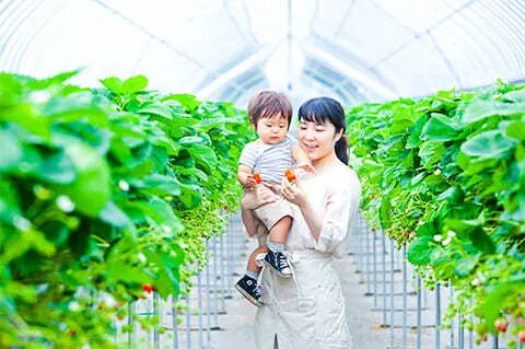 3歳未満無料！40分食べ放題！1500円～の写真