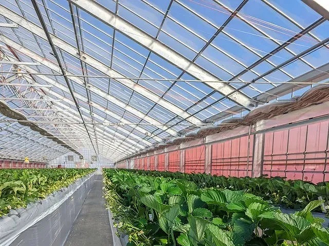 当日OK! 2歳以下無料!6品種以上!40分食べ放題チケットの写真