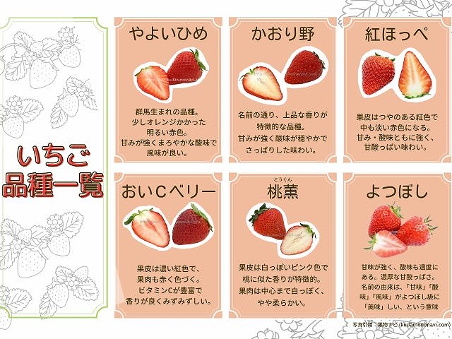 【いちご狩り30分食べ放題】練乳付き・練乳おかわり無料！の写真