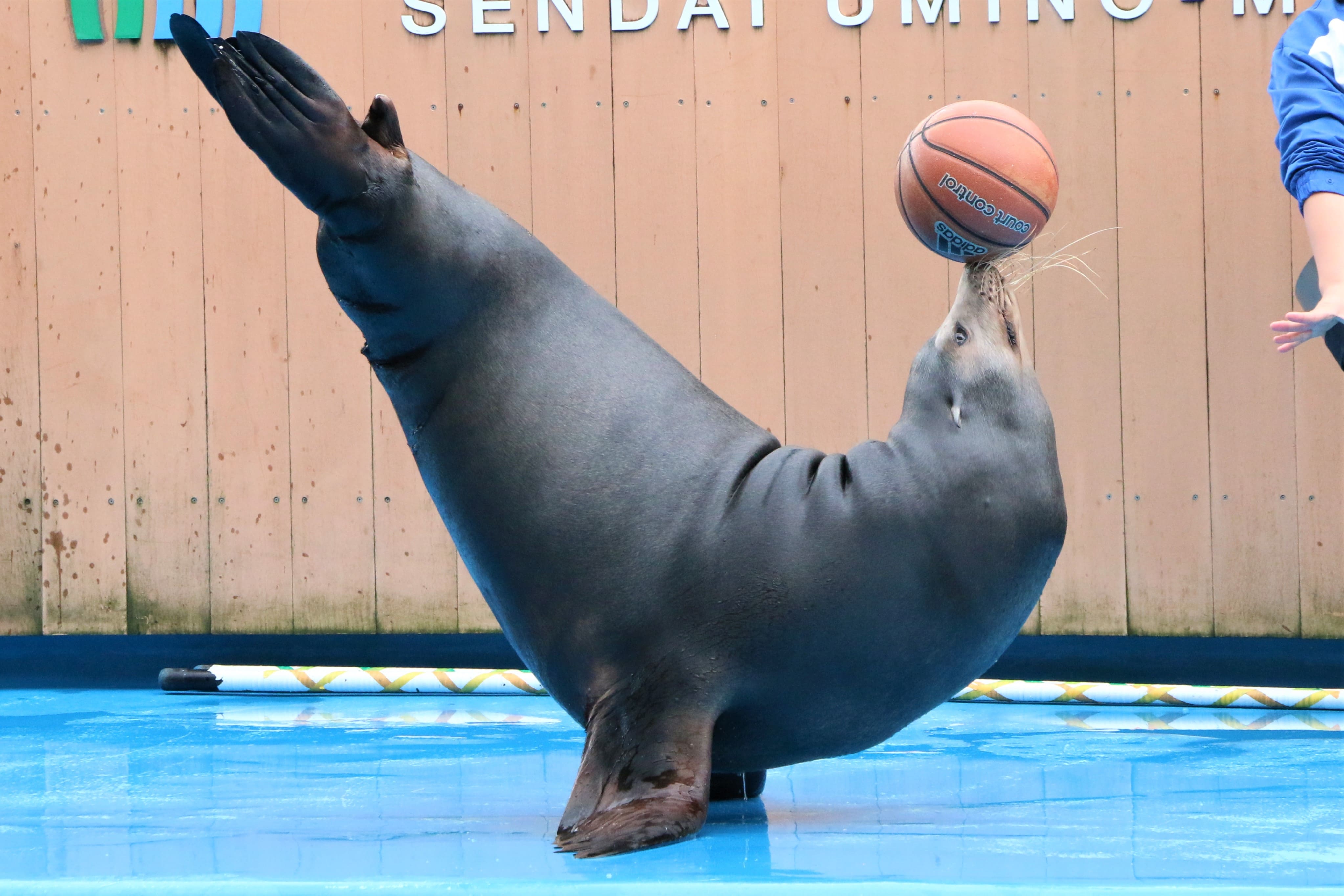 【いこーよ限定】大人2名：ちびっこ年間パスポート付き年間パスポートペア引換券プラン♪の写真