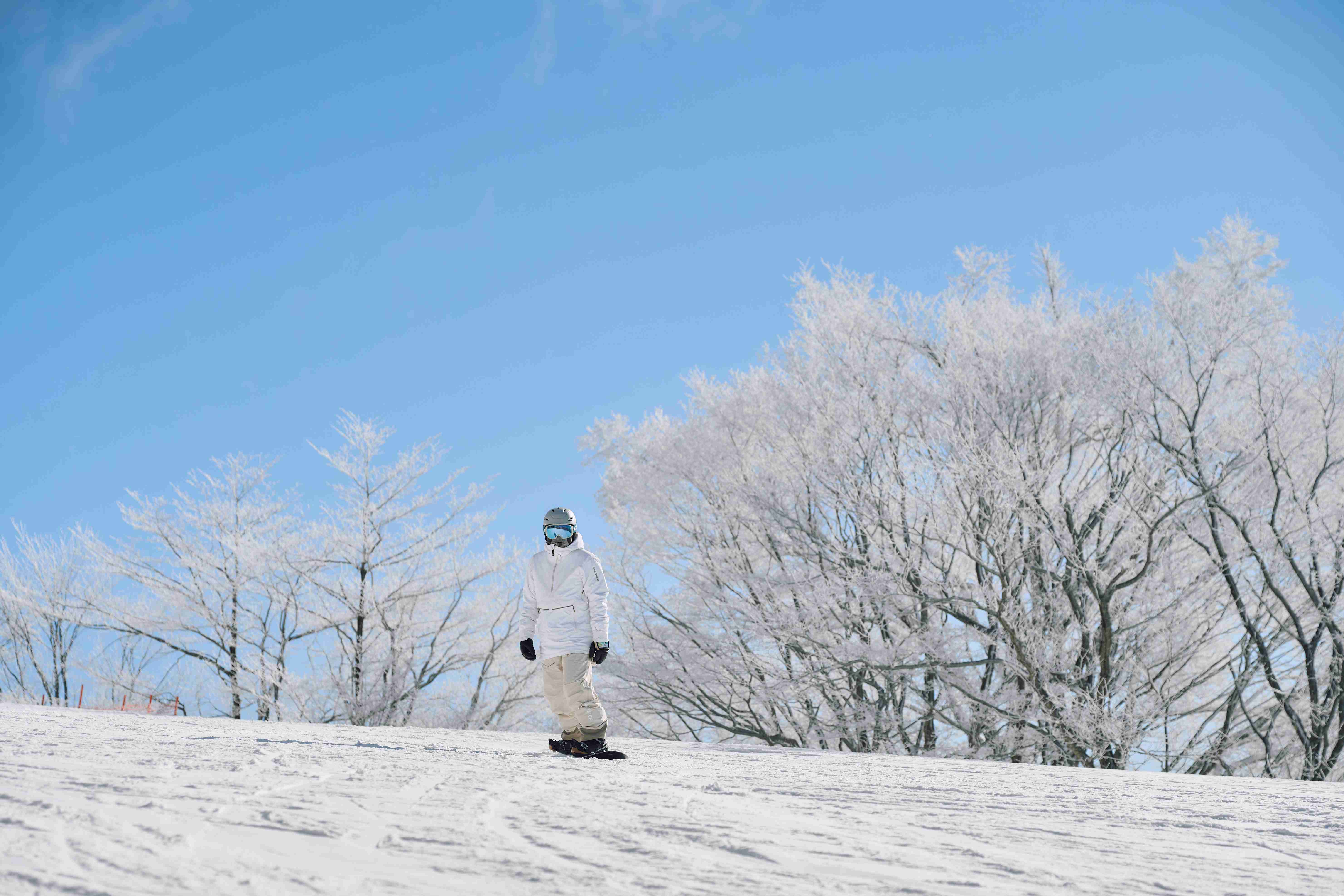 ＼小学生以下無料／軽井沢プリンスホテルスキー場1日券の写真