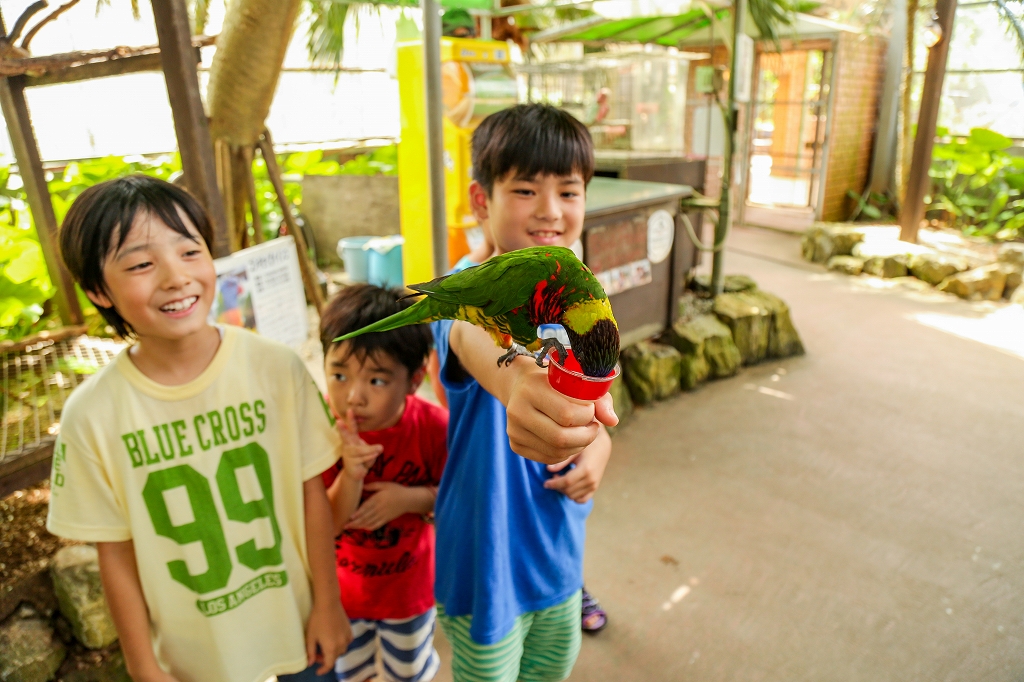 【10％OFF】季節のフルーツパフェ付き！OKINAWAフルーツらんど入園チケットの写真