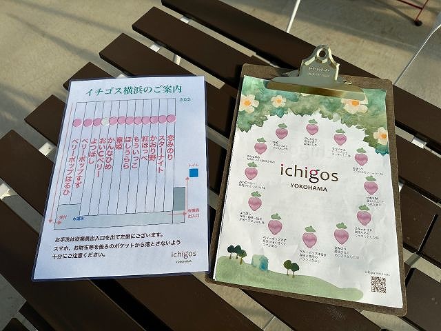 【横浜戸塚】神奈川県初のハンギングいちご狩り♪最大12品種45分食べ比べ！の写真