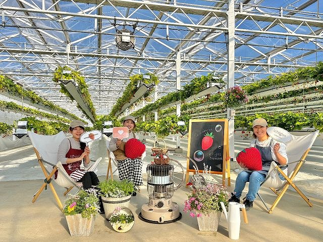 【横浜戸塚】神奈川県初のハンギングいちご狩り♪最大12品種45分食べ比べ！の写真