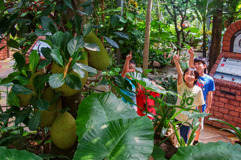 【10％OFF】おトクな前売り入園チケット！当日予約もOK♪の写真