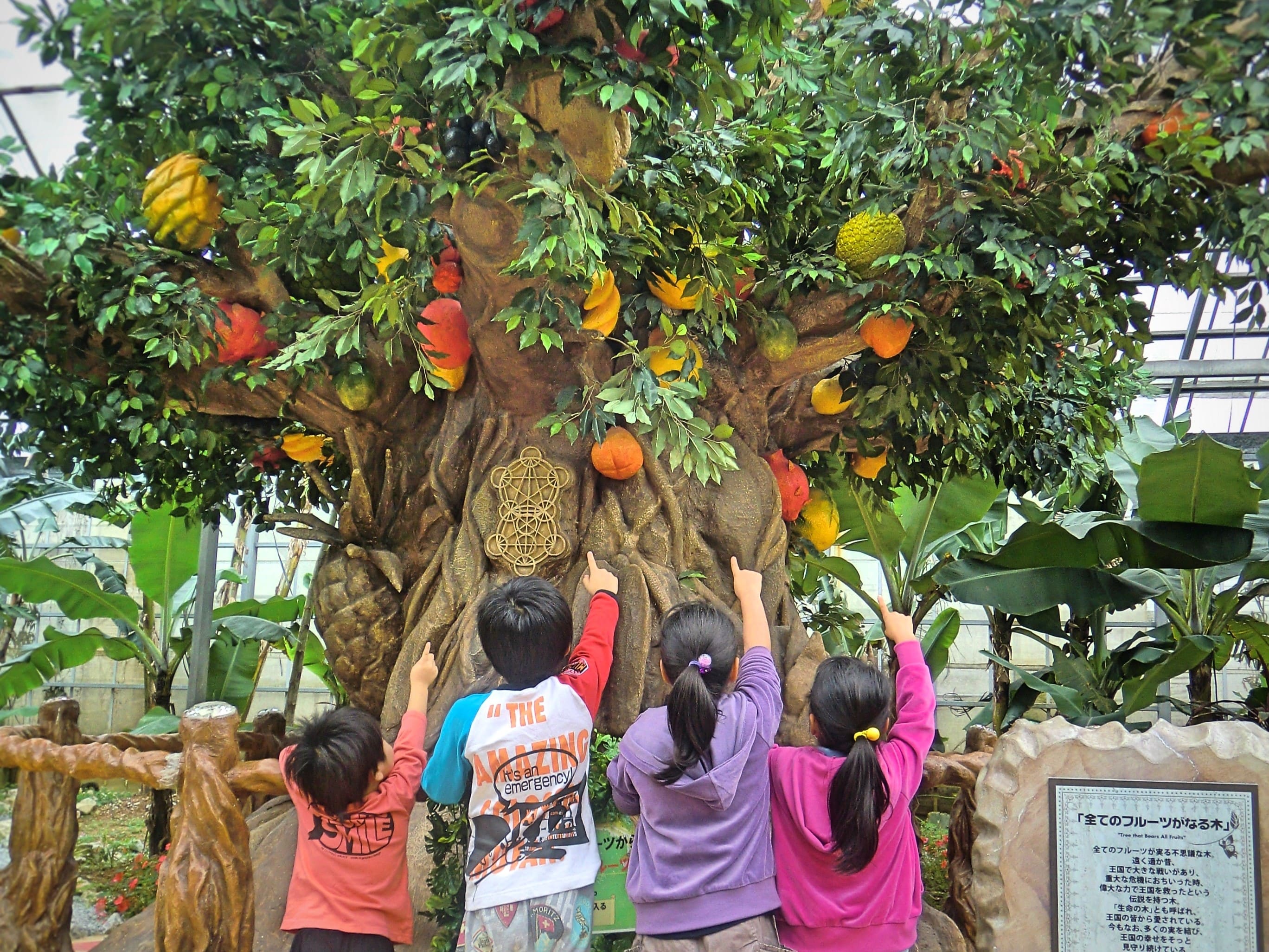 【10％OFF】おトクな前売り入園チケット！当日予約もOK♪の写真