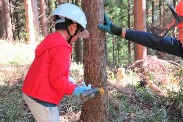 6歳になったら机を作ろう！木こり&机作り体験 in高知の写真