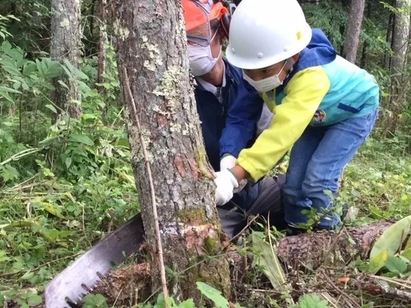 6歳になったら机を作ろう!木こり&机作り体験in丹波篠山の写真