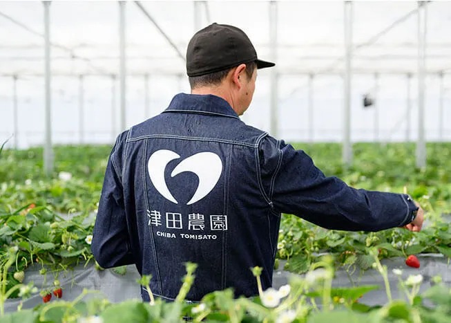 【30分食べ放題】＼東京から車で1時間・インター5分／7種類いちご狩りの写真