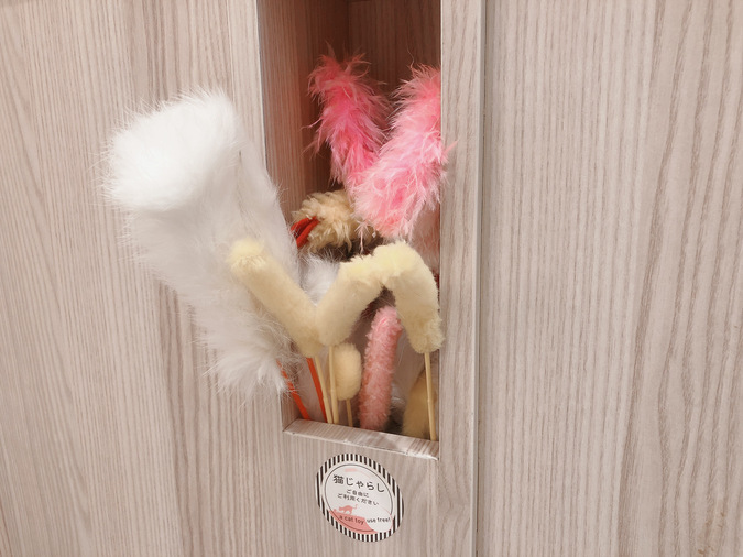 【2/2～新料金！平日20％割引】猫カフェモカ　イオンモール幕張新都心店　入場チケットの写真