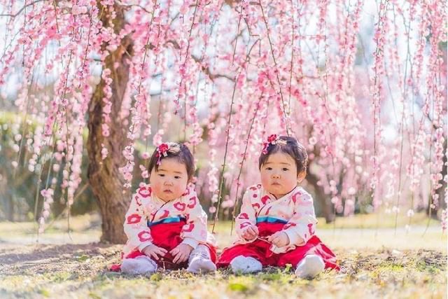 〈2026梅まつり入場チケット〉小学生以下入園無料！の写真