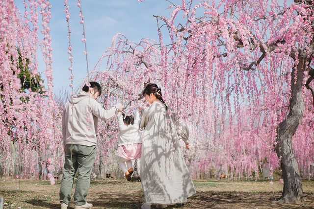 〈2026梅まつり入場チケット〉小学生以下入園無料！の写真