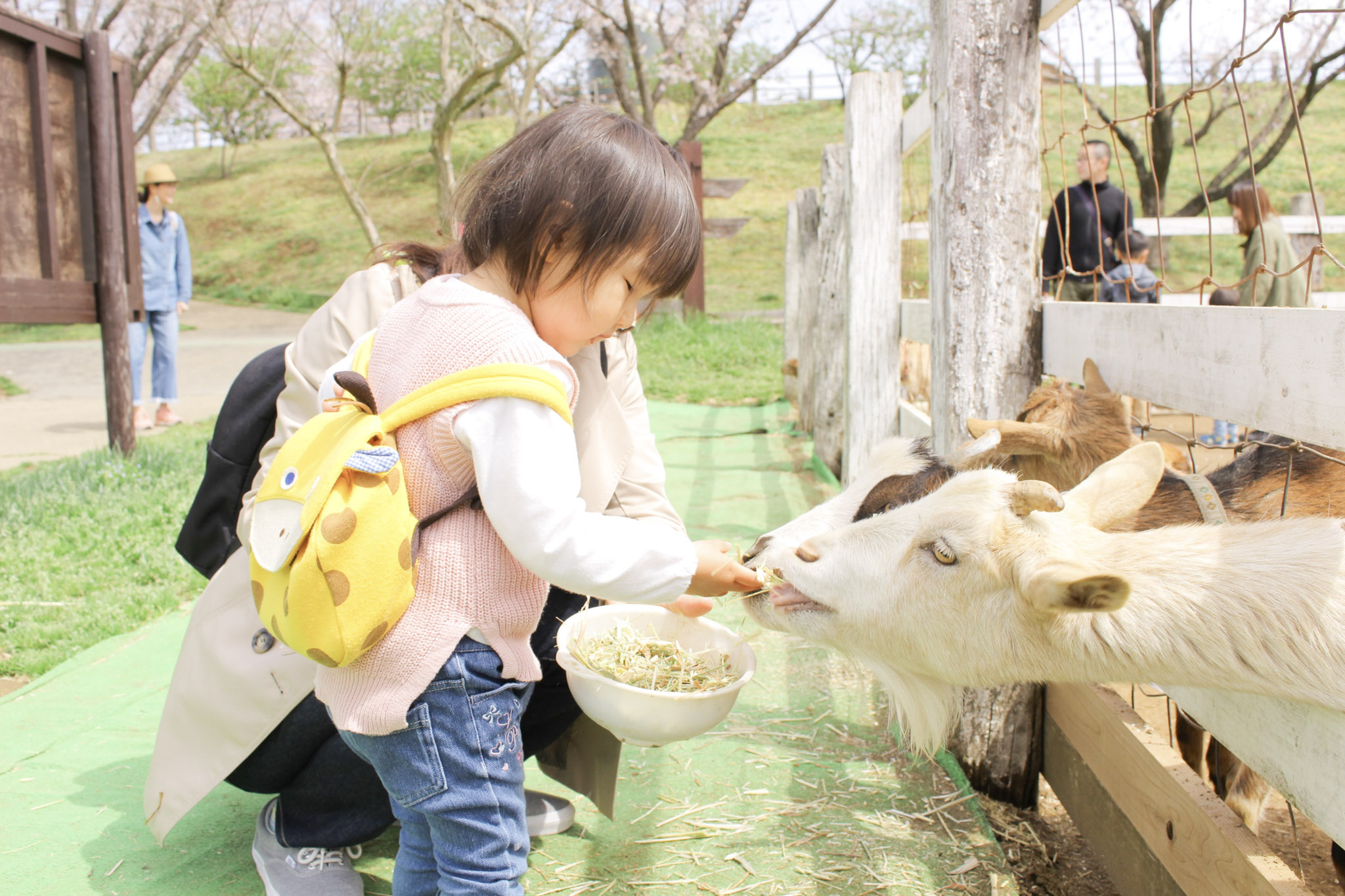 小学生以下無料！土日祝日も利用可！『いこーよスペシャルデー』入場チケットの写真