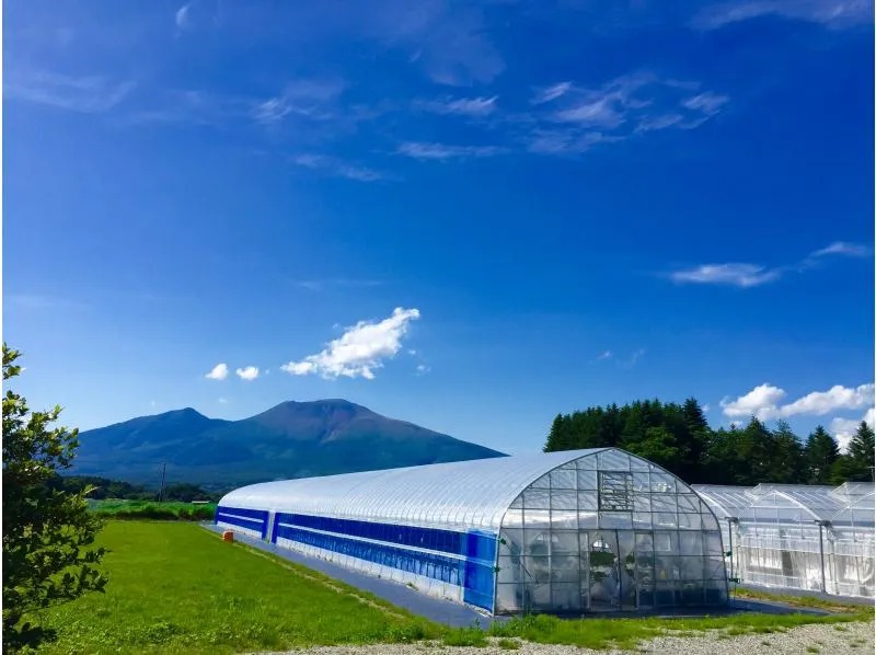 【アドバンス 食べ放題コース】赤いちご複数品種+白いちご+黒いちご 食べ放題(40分)の写真