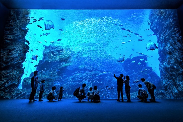 【いこーよ限定】親子ペア入館券※オリジナルメモ帳付き※の写真