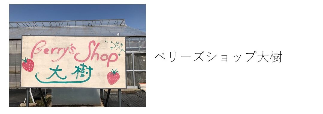 ＜12/20～2/1＞【いちご狩り３０分食べ放題！】こんなところを探していた！穴場のいちご狩り☆入間の写真