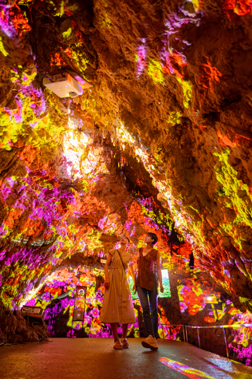 【最大100円引】\3歳未満無料/ 入場チケットの写真