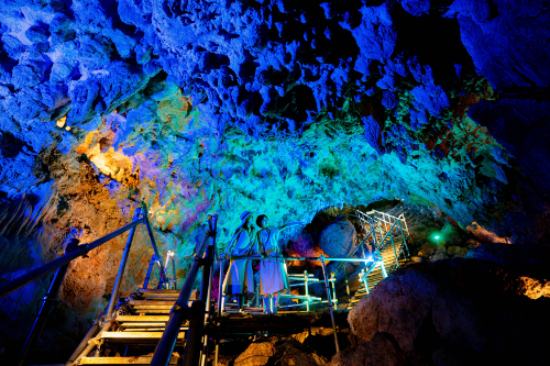 【最大100円引】\3歳未満無料/ 入場チケットの写真