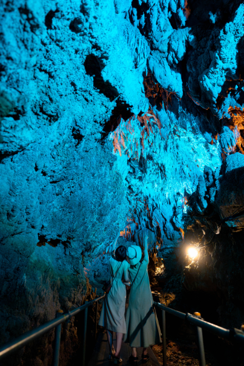 【最大100円引】\3歳未満無料/ 入場チケットの写真