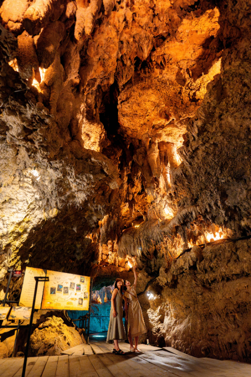 【最大100円引】\3歳未満無料/ 入場チケットの写真