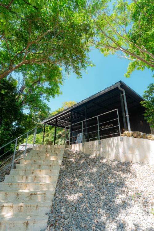 【最大100円引】\3歳未満無料/ 入場チケットの写真