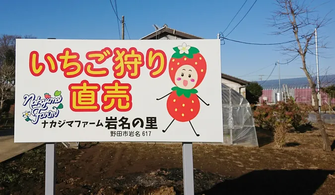 【30分食べ放題!】清水公園からすぐ!5種の摘みたていちごを味わおうの写真