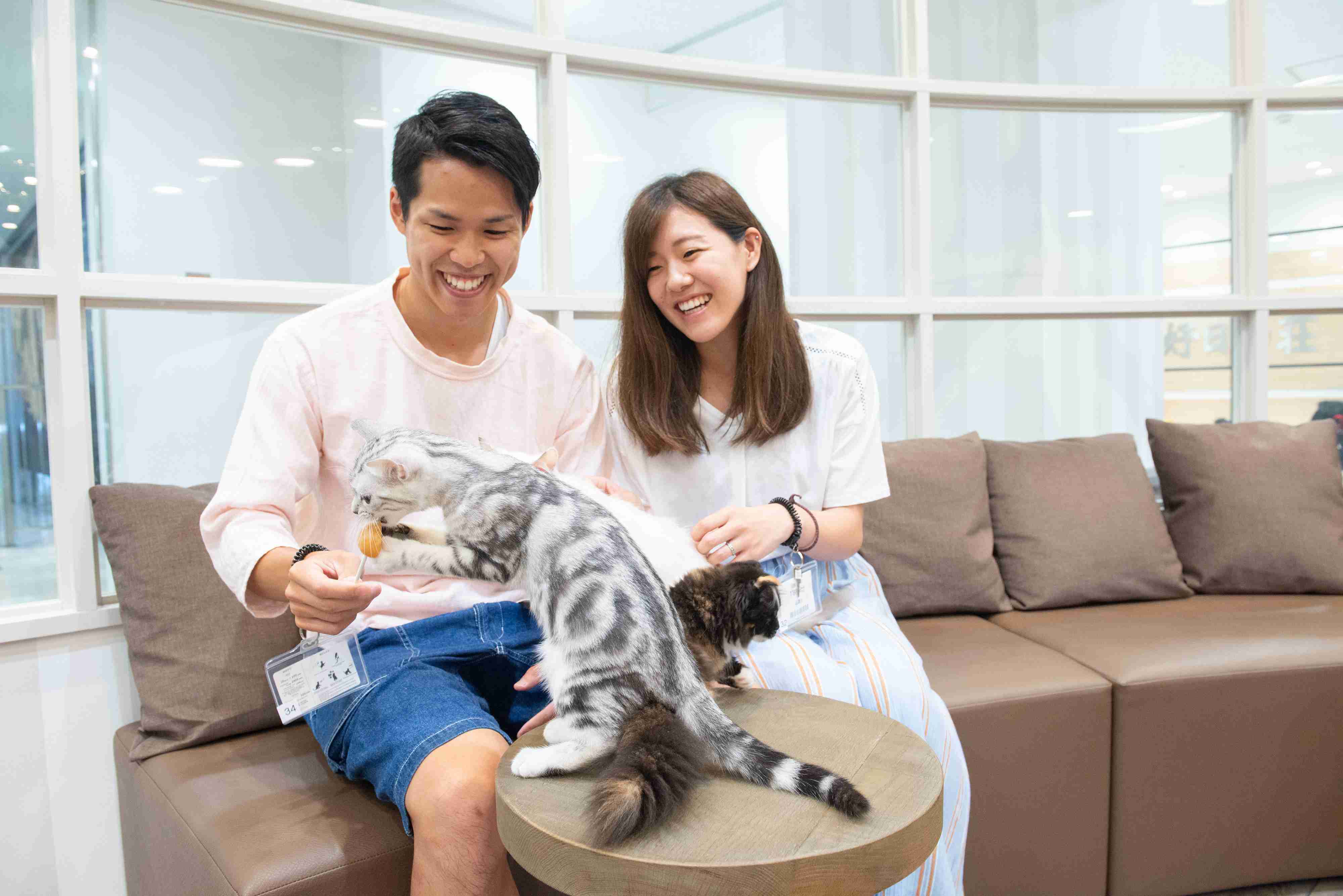 【2/2～新料金！平日20％割引】猫カフェモカ　立川店　入場チケットの写真