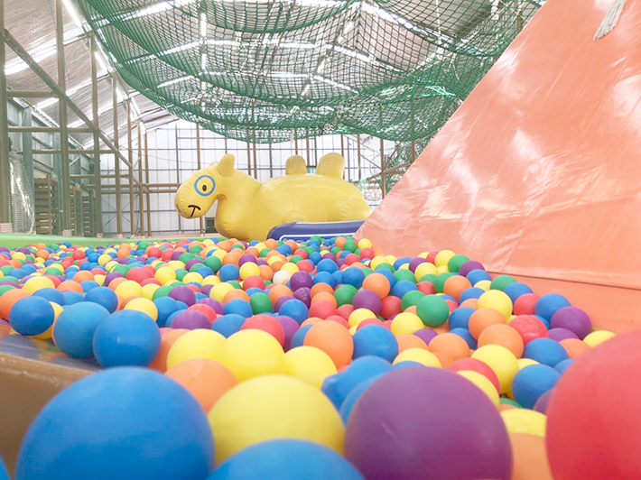 【事前予約不要】アスレチックや巨大迷路などが遊び放題の「Web入園券」の写真