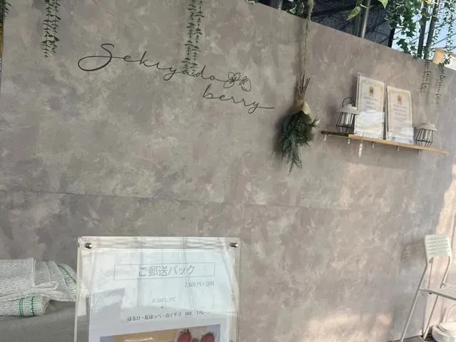 【こだわり苺のいちご狩り】選び抜いた4品種と、白。の写真