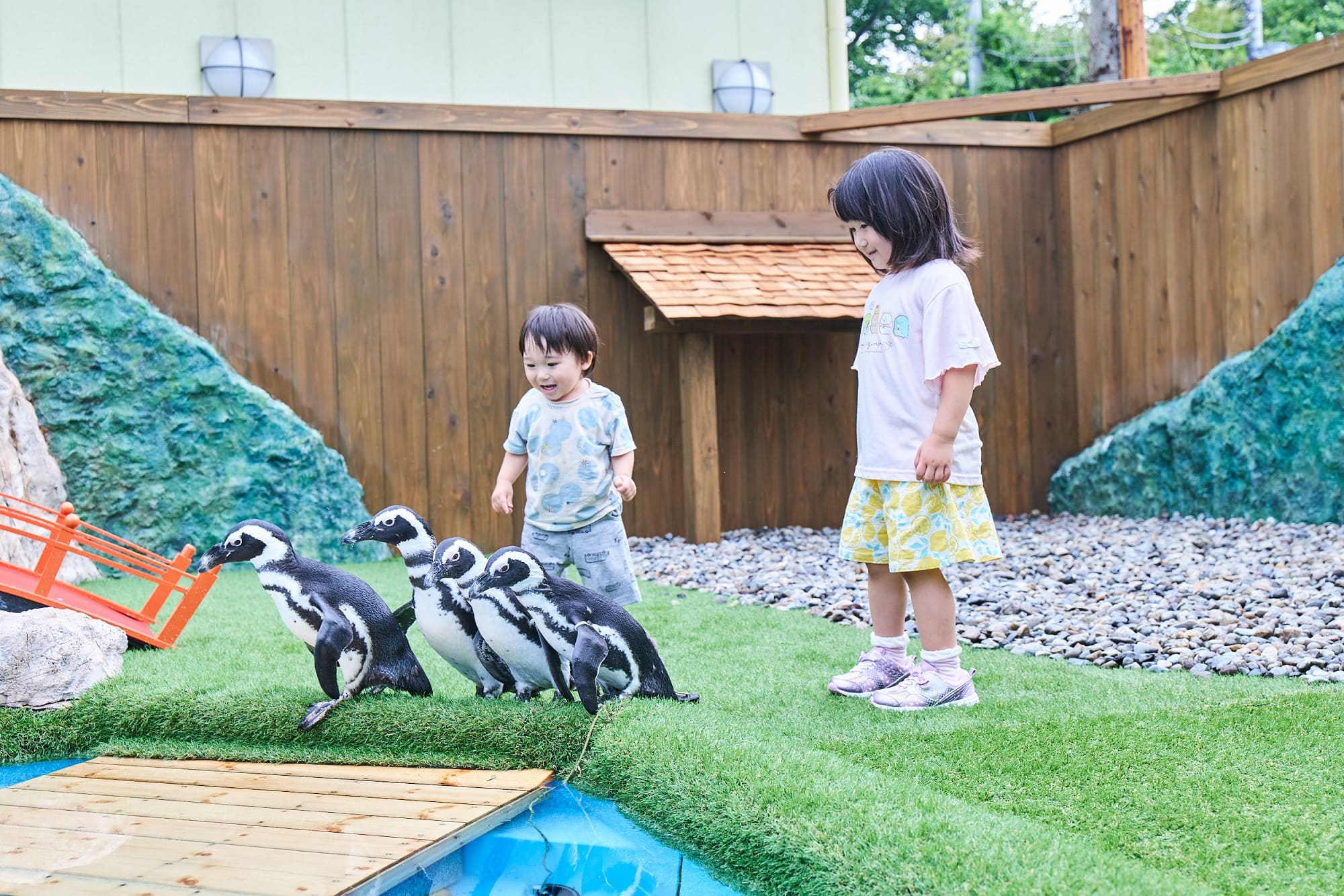 最大300円割引】パスポートプラン！日光さる軍団 お得な前売りチケット