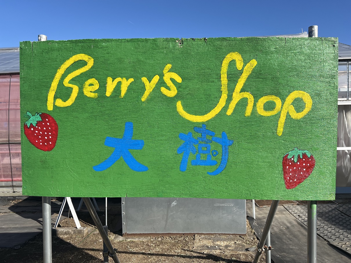 【いちご狩り３０分食べ放題！】こんなところを探していた！穴場のいちご狩り☆入間(2/3~4/5)の写真