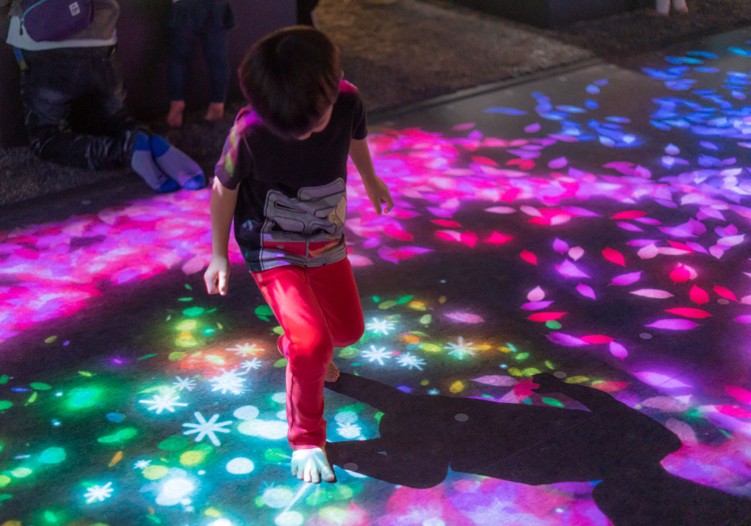 【初回限定】最大300円引き！リトルプラネット ダイバーシティ東京 プラザ フリーパスの写真