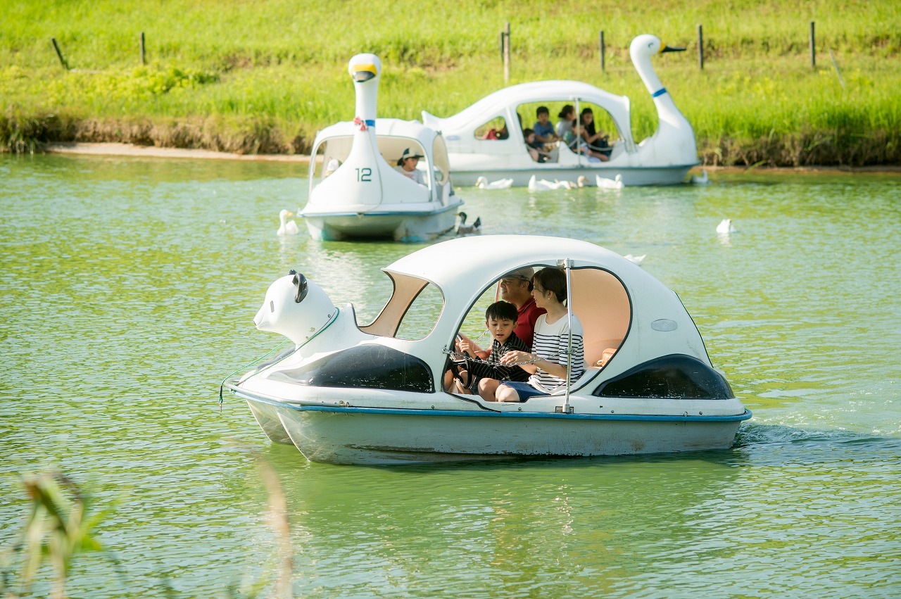こども半額!動物も体験も!家族の笑顔がはじける!【いこーよスペシャルデー】入園券の写真