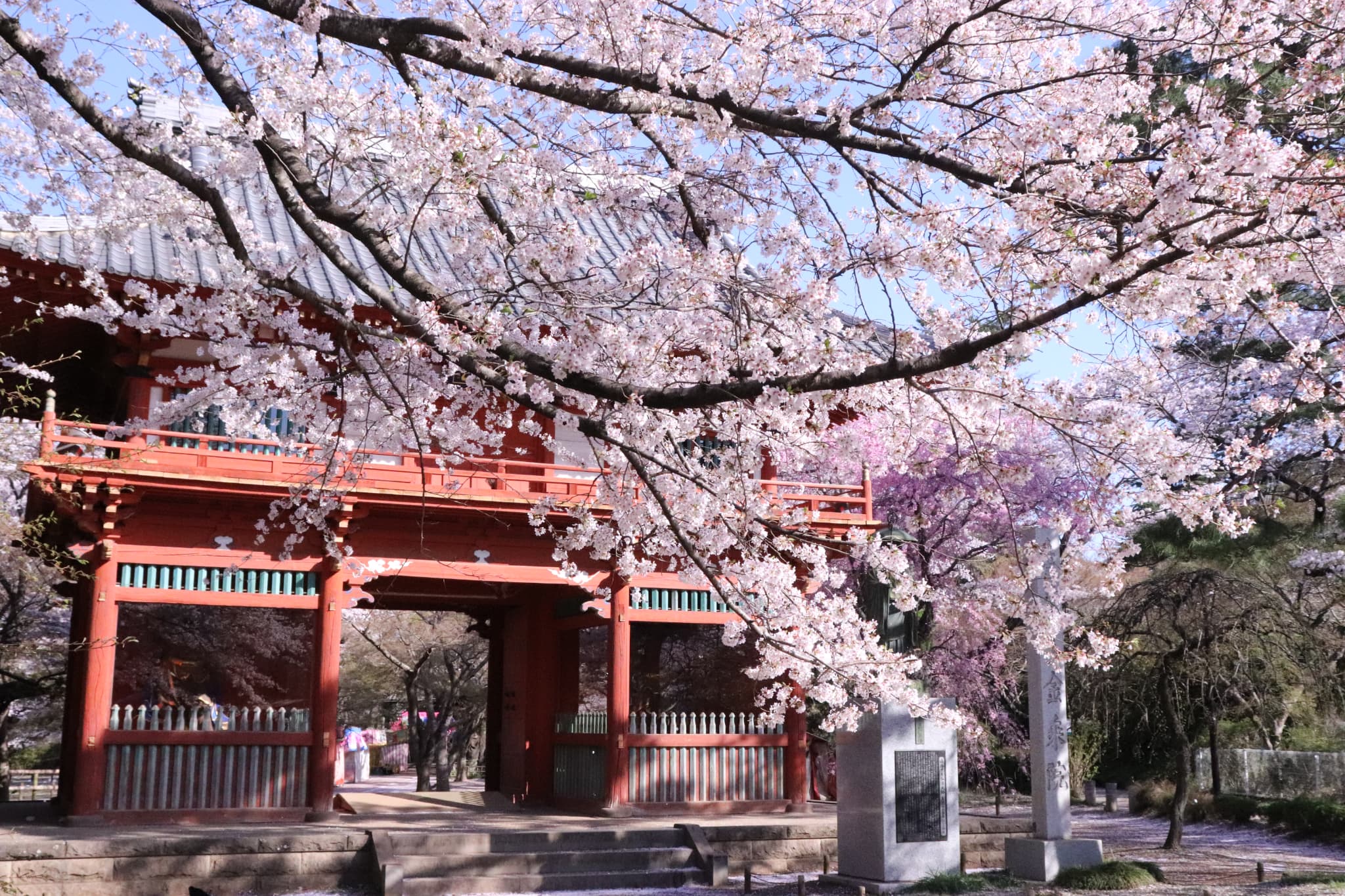 【最大100円引き】 『春は迷路にワクワク』 チケット　<3/20～4/26>	の写真