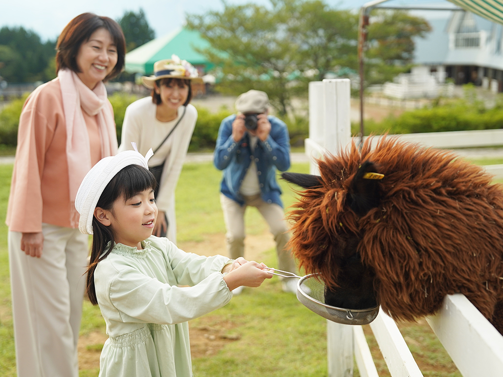 アルパカおやつあげ体験