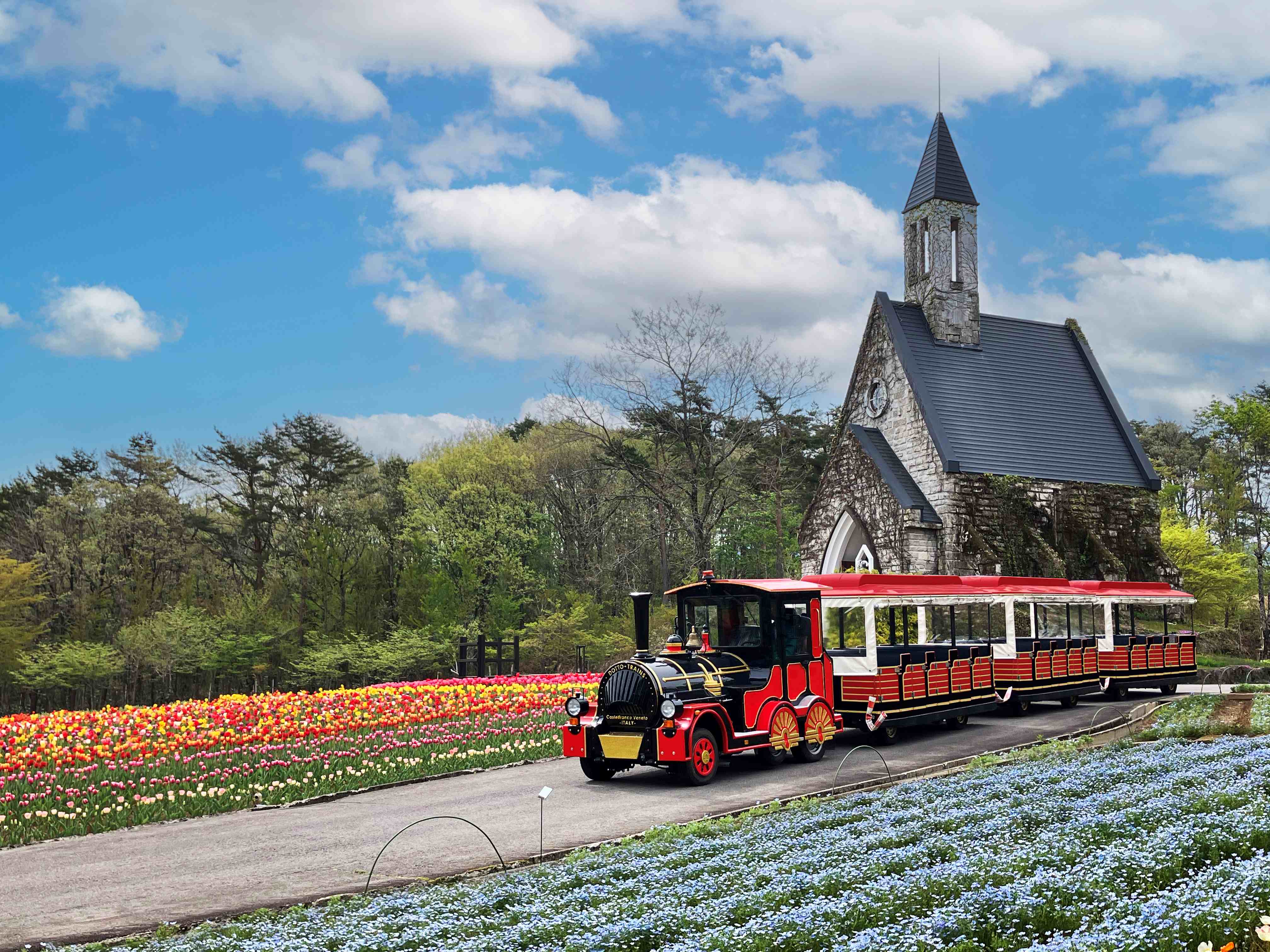 ロードトレインと教会の花畑