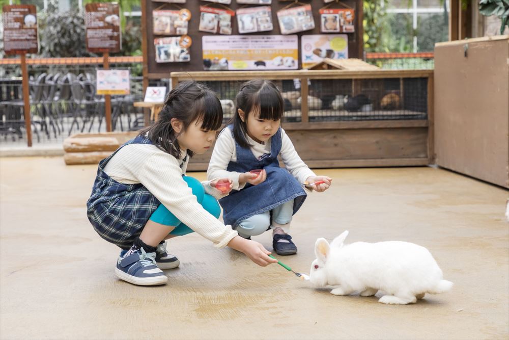 【スムーズに入場可能!】神戸どうぶつ王国WEBチケットの写真