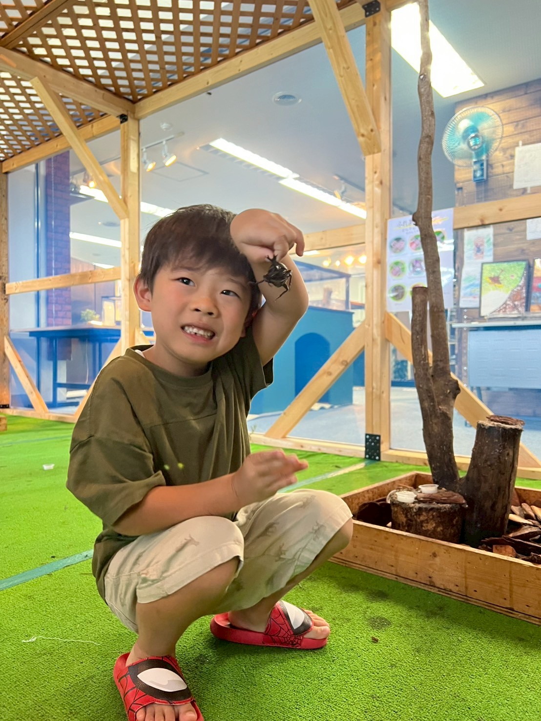 夏休み限定!クワ・カブ触れ合いコーナー