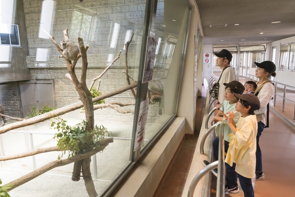 【いこーよスペシャルデー】\\子ども無料!大人は最安!// 入園券の写真