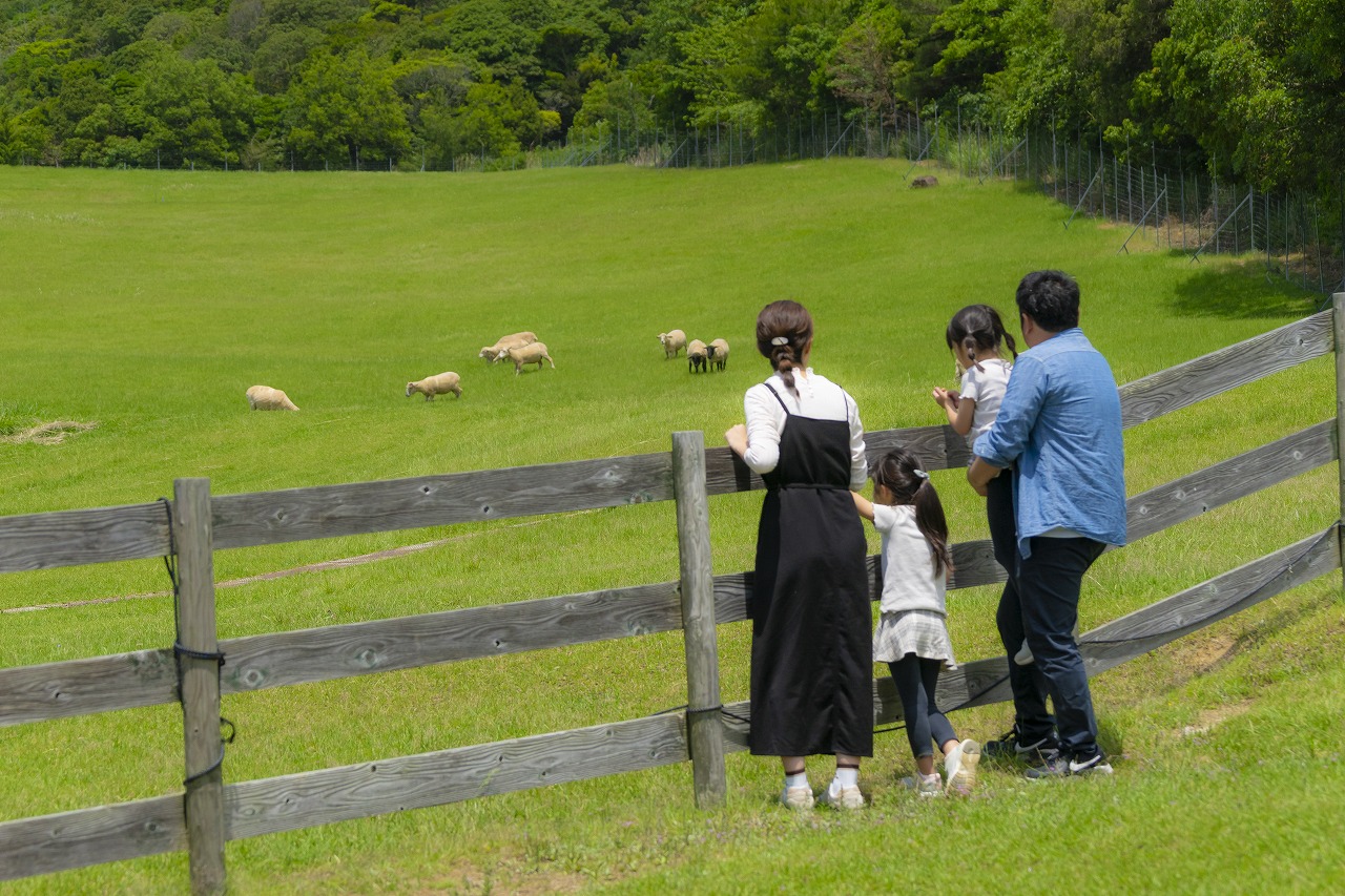 【いこーよスペシャルデー】\\子ども無料!大人は最安!// 入園券の写真