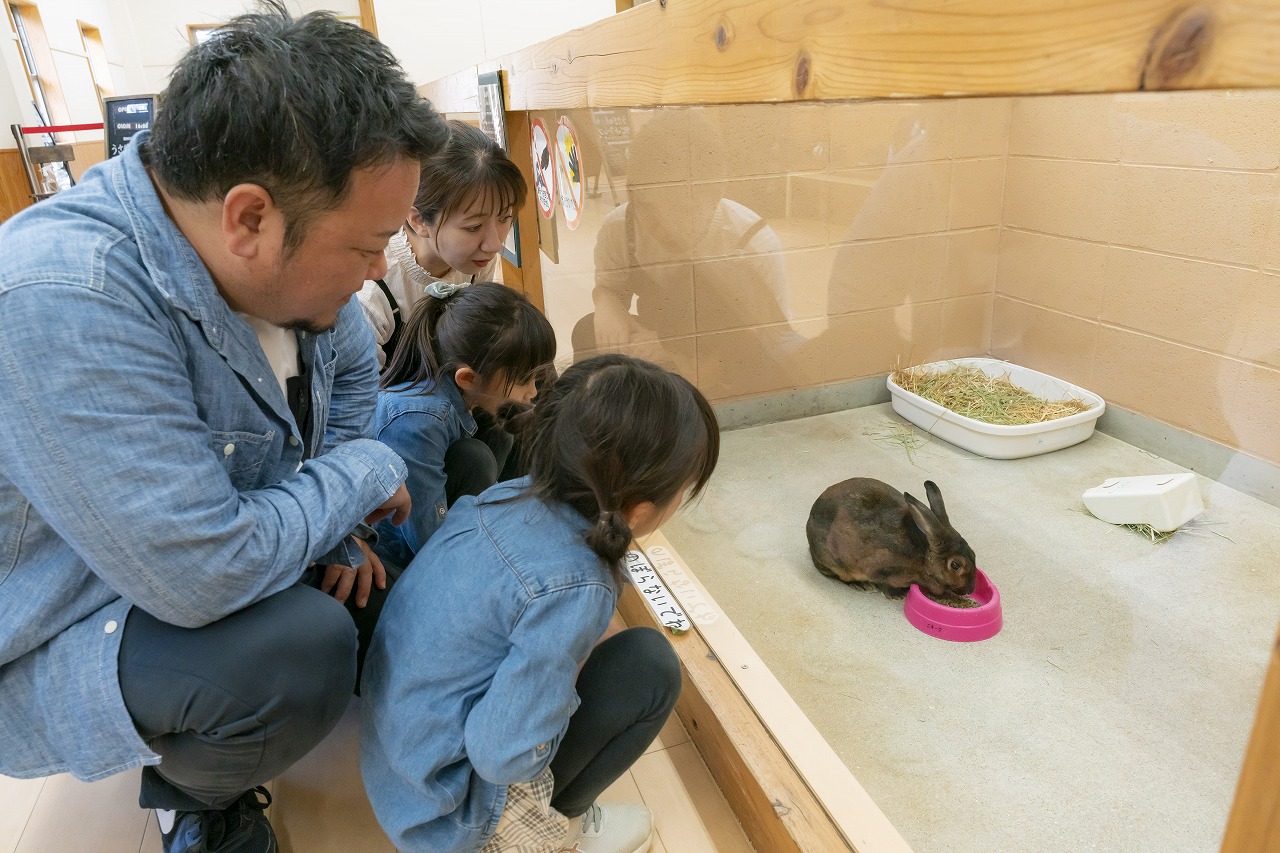 【いこーよスペシャルデー】\\子ども無料!大人は最安!// 入園券の写真