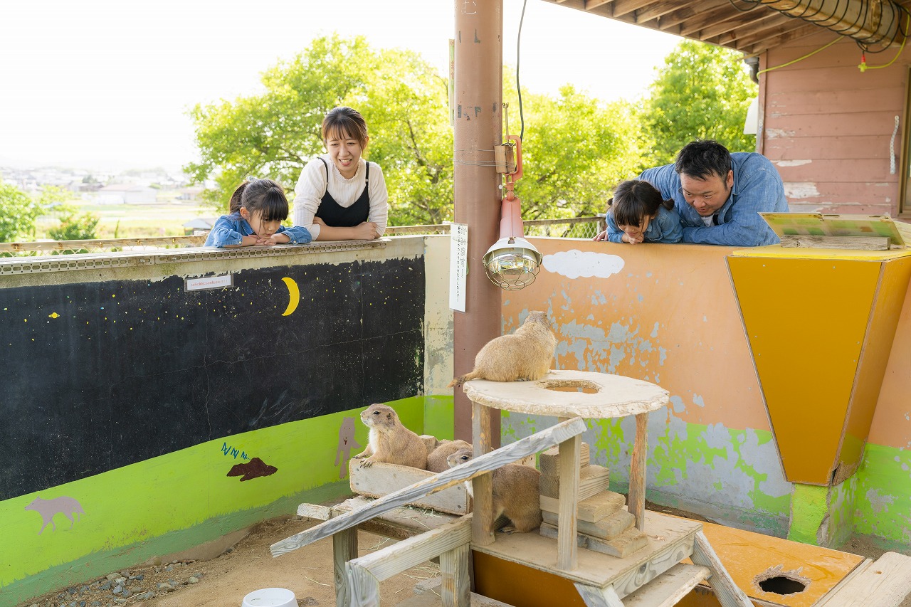 【いこーよスペシャルデー】\\子ども無料!大人は最安!// 入園券の写真