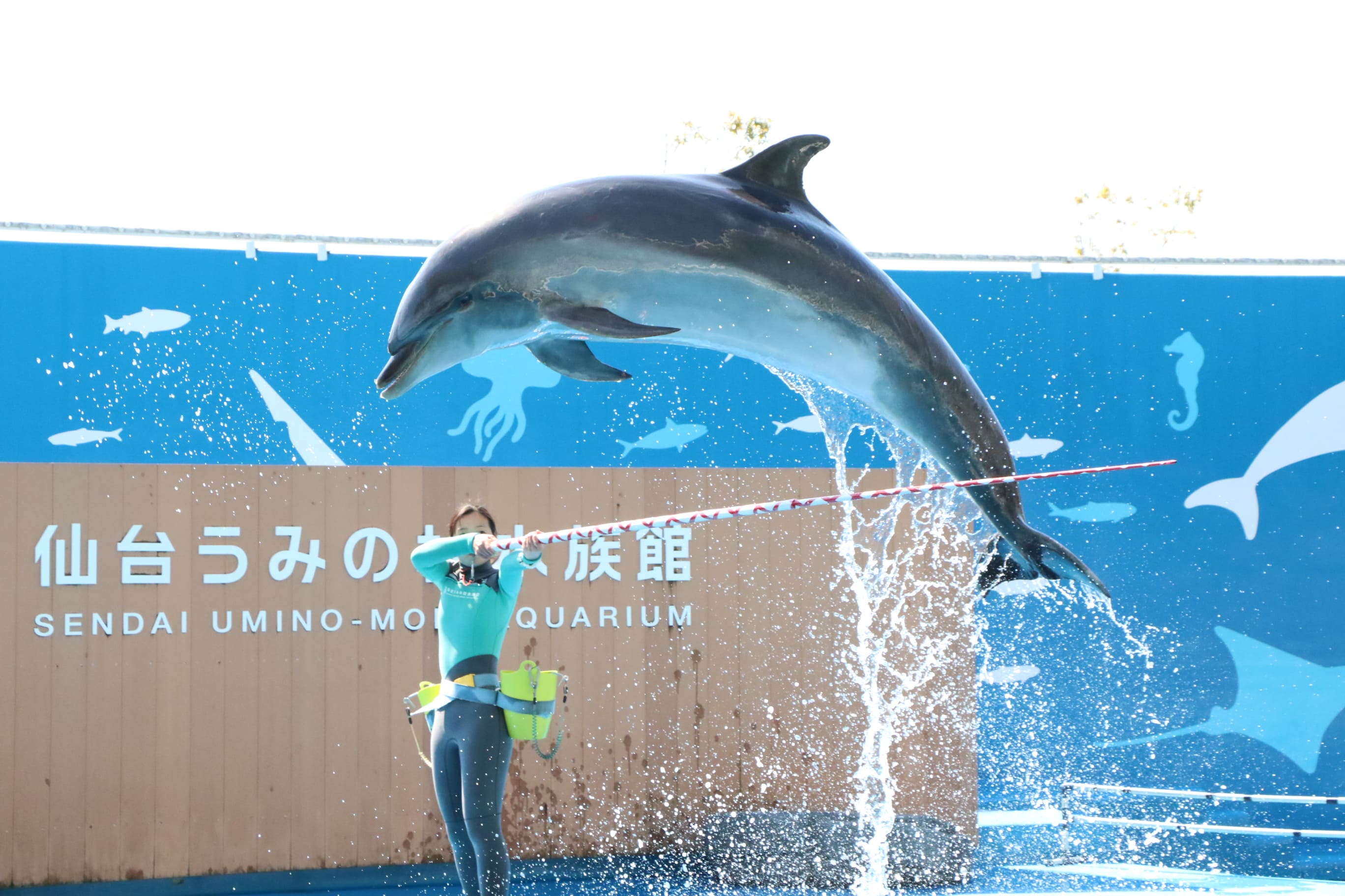 オリジナルアクリルスタンド付き親子ペア入館券プラン♪の写真