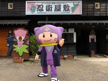 さるとび券(入村+施設利用券6枚)の写真
