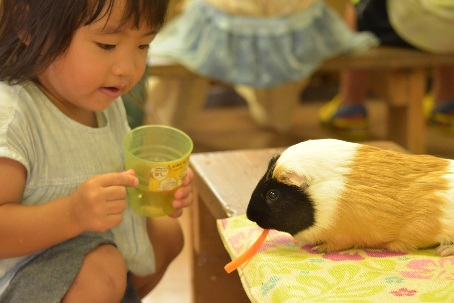 ふれあい広場ではモルモット、小型犬、ゾウガメ、カピバラなどに触れ合える癒しのスポットです。