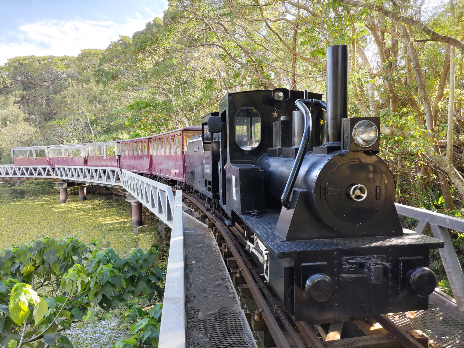 汽車に乗ってアマゾン・アフリカ・オセアニアゾーンをガイド付きで20分の小旅行