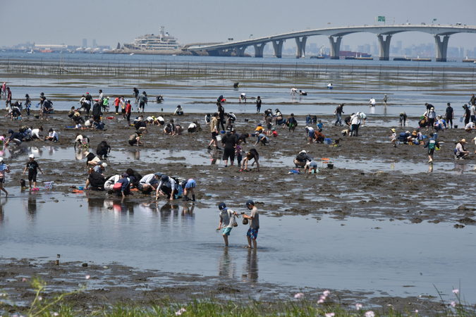 【100円割引でお得!!】金田みたて海岸潮干狩りの写真