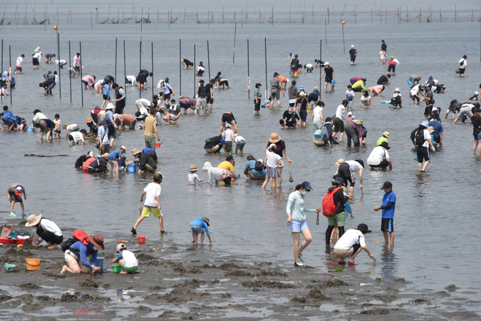 【100円割引でお得!!】金田みたて海岸潮干狩りの写真